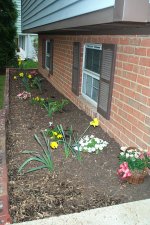 Flower garden