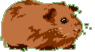 Piggy Wiggy